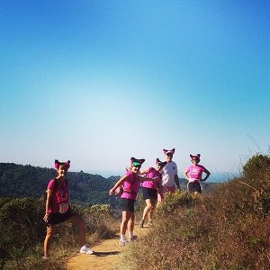 Team Page: AwareWolves